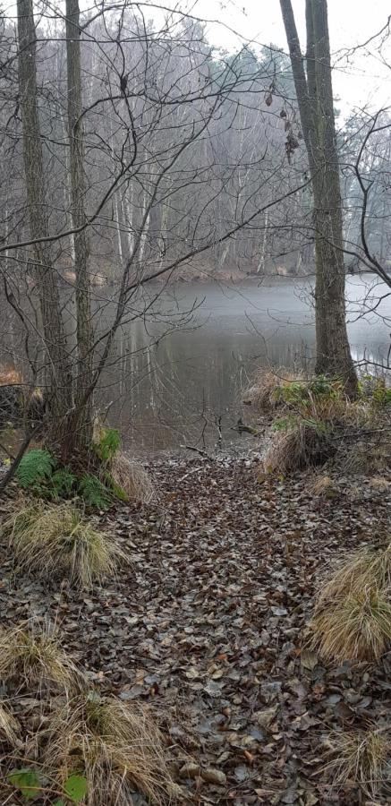 Gemuetliches Ferienhaus In Seenaehe Sewekow Buitenkant foto